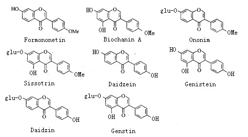 異黃酮類及其苷的化學結構式