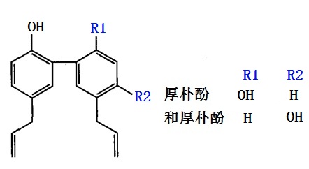 厚樸酚及和厚樸酚的化學(xué)結(jié)構(gòu)式