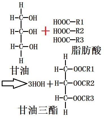 甘油的酯化圖