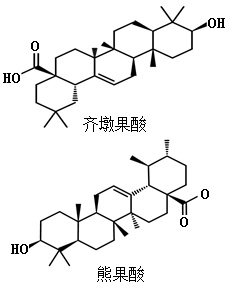 齊墩果酸、熊果酸結(jié)構(gòu)式