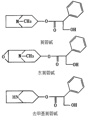 莨菪堿、東莨菪堿、去甲基莨菪堿結(jié)構(gòu)式