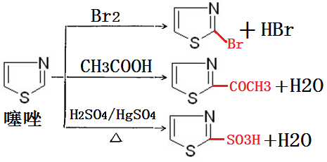 噻唑發(fā)生的親電取代反應(yīng)
