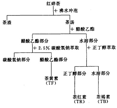 紅碎茶的分離程序