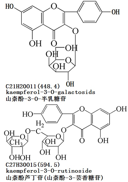 結(jié)構(gòu)式