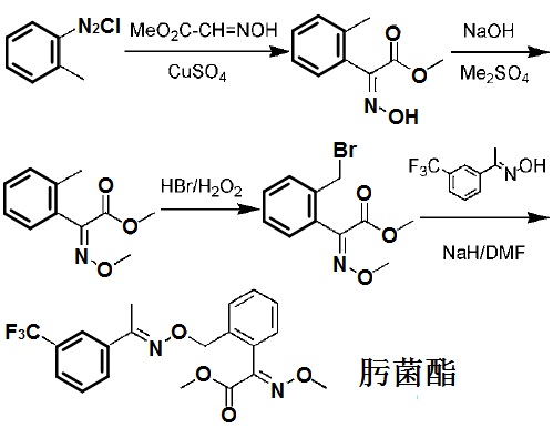 肟菌酯的合成路線