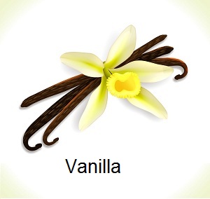 Vanilla