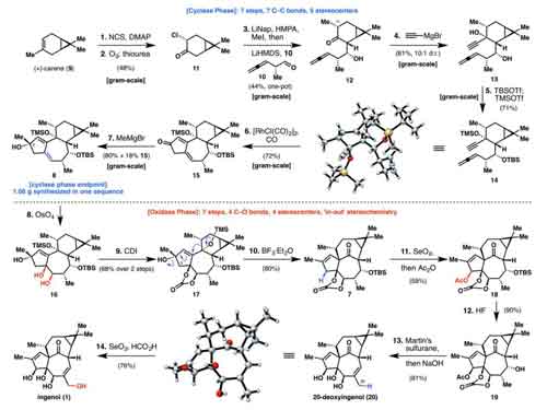 14步反應(yīng)合成巨大戟醇