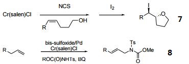 Reactions of 164931-83-3_2