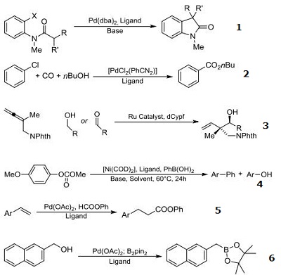 Reactions of 146960-90-9