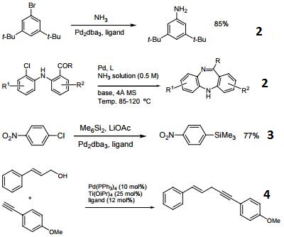 Reactions of 224311-49-3