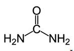 Lewis structure of urea