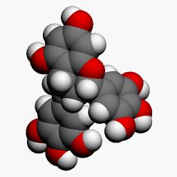 stereochemical structure of epicatechin gallate