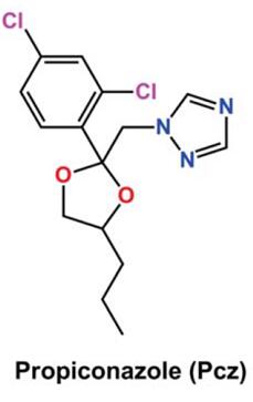 the chemical structure of propiconazole