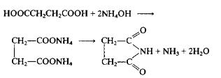 Preparation of Succinimide