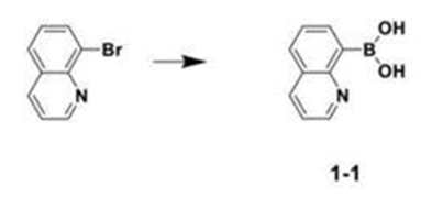 喹啉-8-硼酸的合成