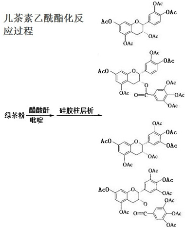 兒茶素類單體分離方法