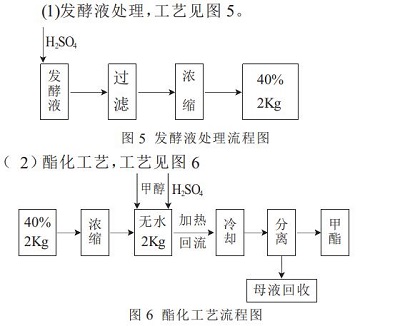 D-異抗壞血酸鈉的生產(chǎn)工藝2