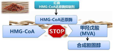 (4S,CIS)-1,3 - 二惡烷-1,1 - 二甲基- 6- 2-氨乙基-1,2 - 二甲基- 1- 4 -醋酸合成應用