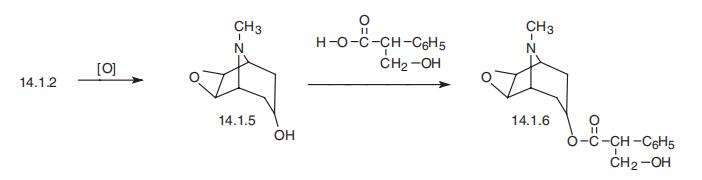 Synthesis_51-34-3