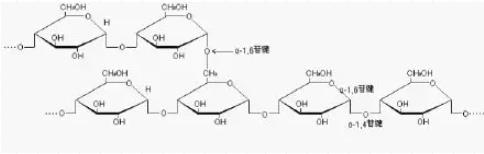 淀粉酶和糊精的種類和作用