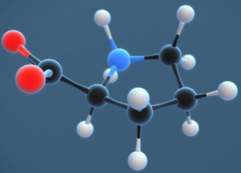 脯氨酸的?結(jié)構(gòu)特征與用途