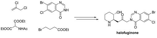 synthesis of halofuginone