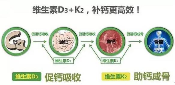 維生素K2的作用及功能