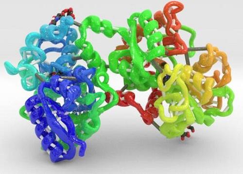 Human lactoferrin.jpg