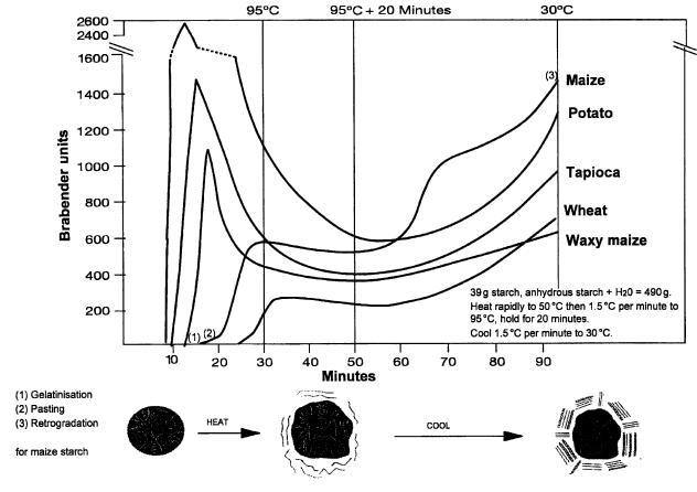 Fig. 2.5.jpg