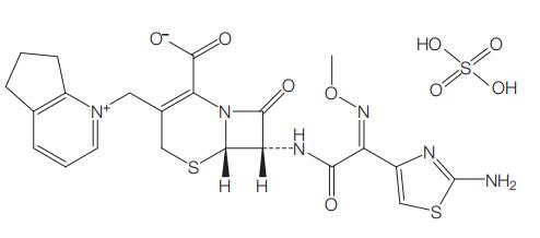 Figure 31.1.jpg