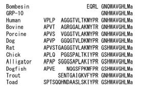 structure of human GRP precursor 