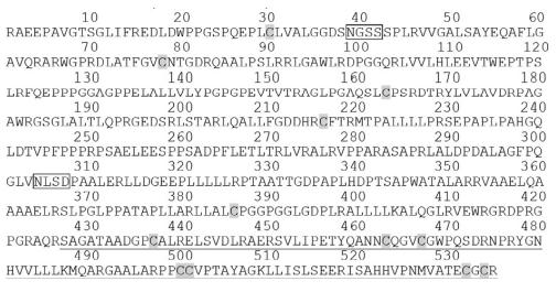 Structure of Anti-Mullerian Hormone