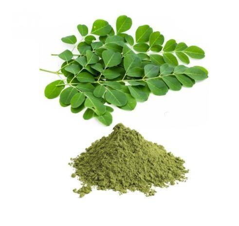 Moringa oleifera powder.jpg