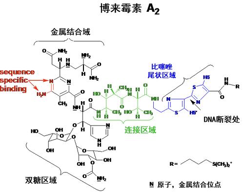 博萊霉素 化學結構