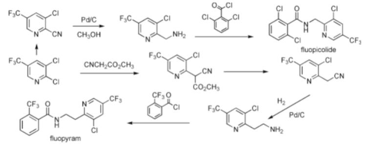  氟吡菌胺 合成路線