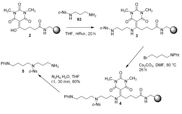 Synthesis of spermidine