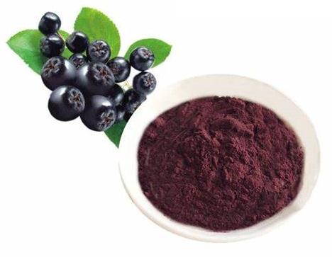 aronia, chokeberry.jpg