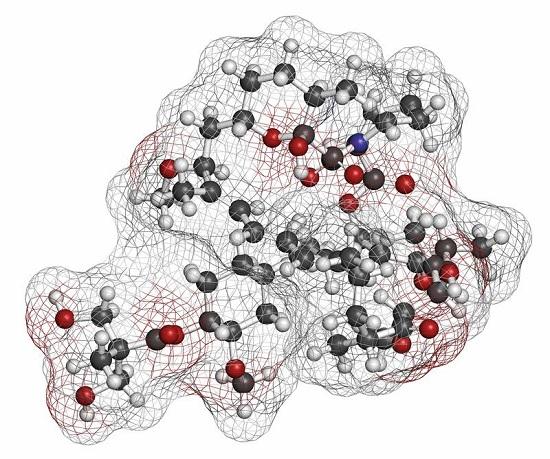 Rapamycin.jpg