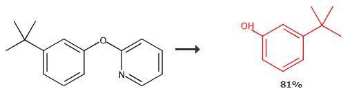 3-叔丁基苯酚的合成路線