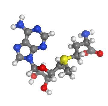 S-Adenosyl-L-methionine.png