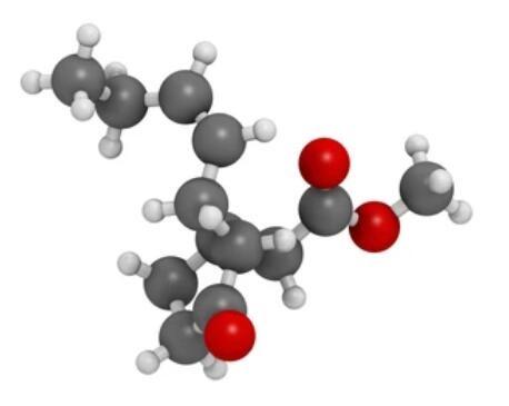 METHYL JASMONATE.jpg