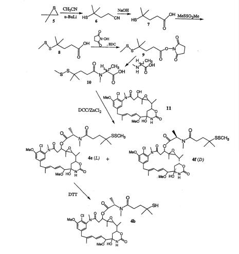 Figure2 DM4 synthesis.png