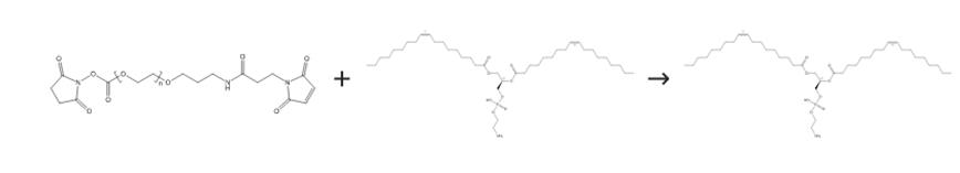 圖2 1，2-二油酰-SN-甘油-3-磷酰乙醇胺的合成路線[2]。