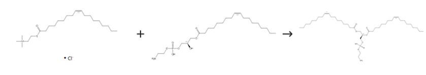 圖3 1，2-二油酰-SN-甘油-3-磷酰乙醇胺的合成路線[3]。