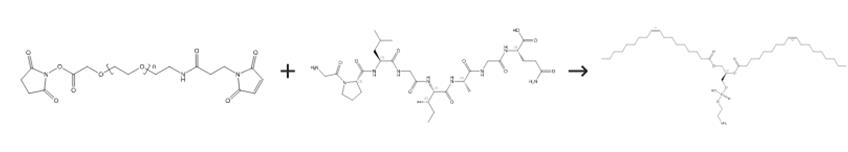 圖4 1，2-二油酰-SN-甘油-3-磷酰乙醇胺的合成路線。