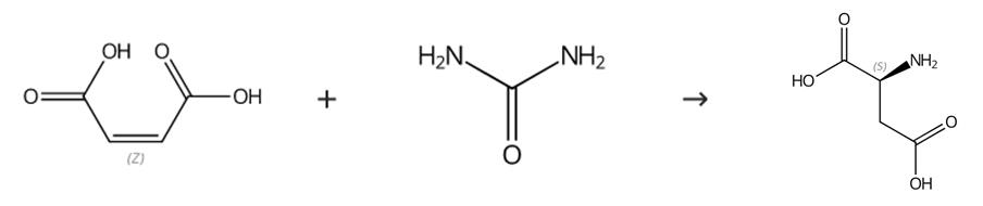 圖2 L-天門冬氨酸的合成路線。