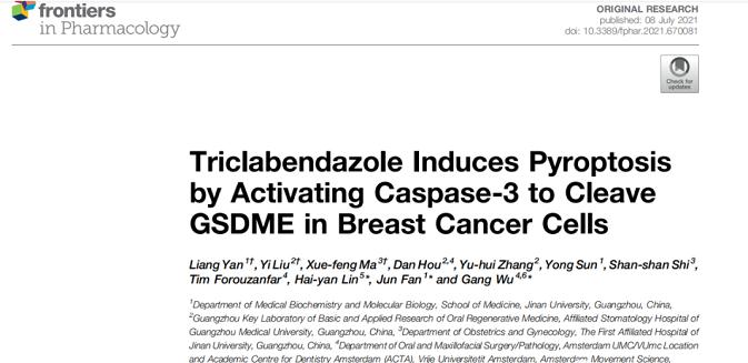 三氯苯達(dá)唑通過(guò)激活Caspase-3裂解GSDME誘導(dǎo)乳腺癌細(xì)胞焦亡.png