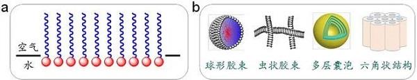 表面活性劑的基本性質(zhì)和典型功能