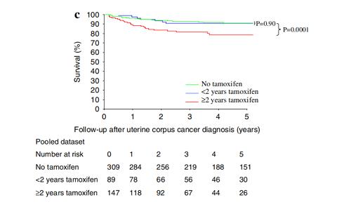 他莫昔芬與子宮內(nèi)膜癌