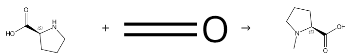 N-Methyl-L-proline synthesis